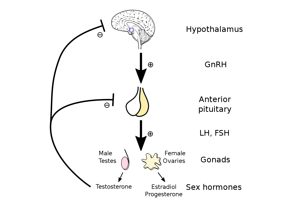 e34573b6e3809414a17d5b025dcab5fdb927e41a